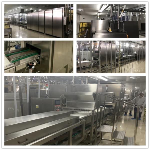 Chocolate Moulding Line(Ecuador)